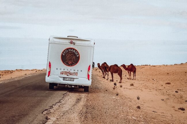 Kameler autocamper sahara